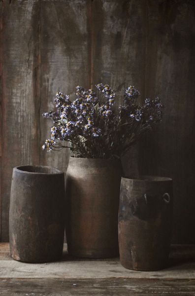 Hovedbilde Natur - Vintage ...