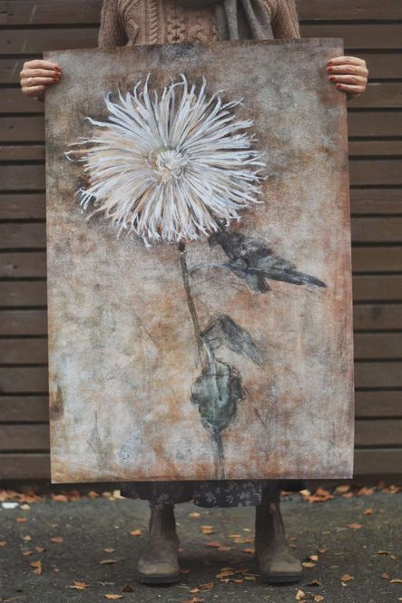 Hovedbilde Krysantemum - Poster 70x100