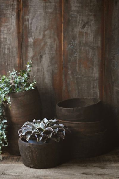 Hovedbilde Natur - Vintage Trepotter ...