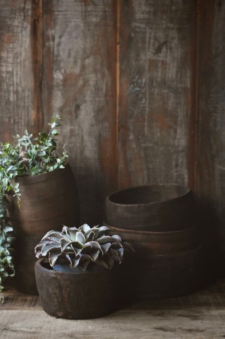 Hovedbilde Natur - Vintage Trepotter ...