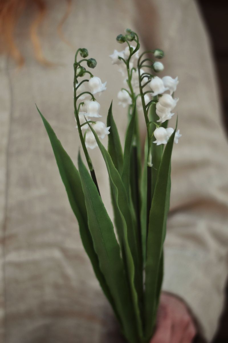 Hvit - Liljekonvall snittblomst