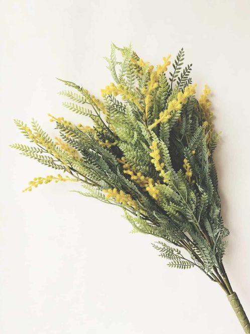 Hovedbilde Gul - Mimosa snittblomst