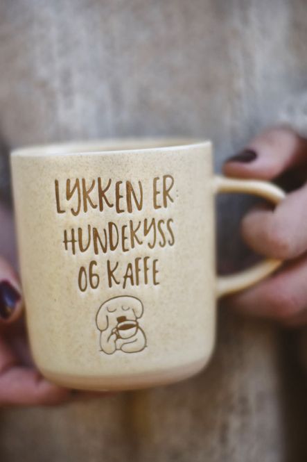 Hovedbilde 