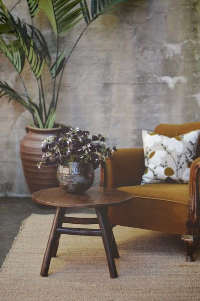 Hovedbilde Brunt Salongbord